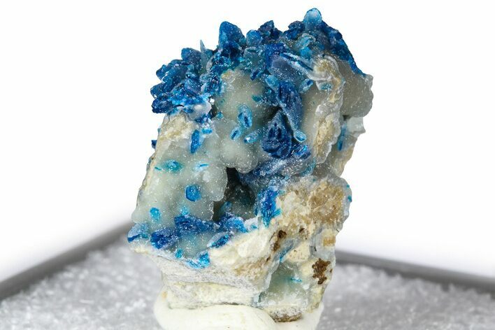 Vibrant Blue Veszelyite Crystals on Hemimorphite - China #380444